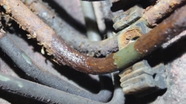 Auto-Service-Experts-Corroded-Steel-Brake-Line-Fluid-Leak-San-Antonio-TX - Auto Repair San Antonio | Auto Service Experts Severely corroded steel brake line causing hydraulic fluid loss inspected during brake repair in San Antonio Texas